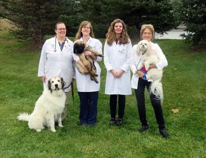 St. Boni Pet Hospital 6