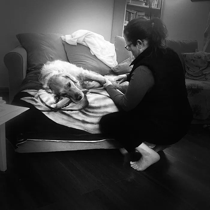 Serenity Veterinary Acupuncture LLC 9