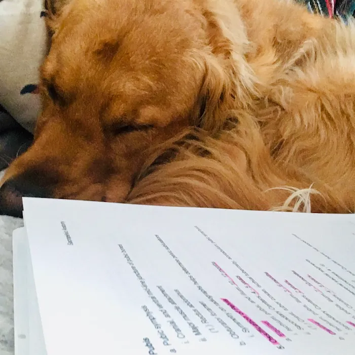 Serenity Veterinary Acupuncture LLC 10