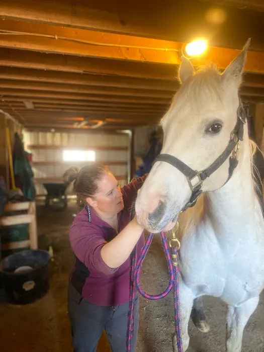 Serenity Veterinary Acupuncture LLC 6