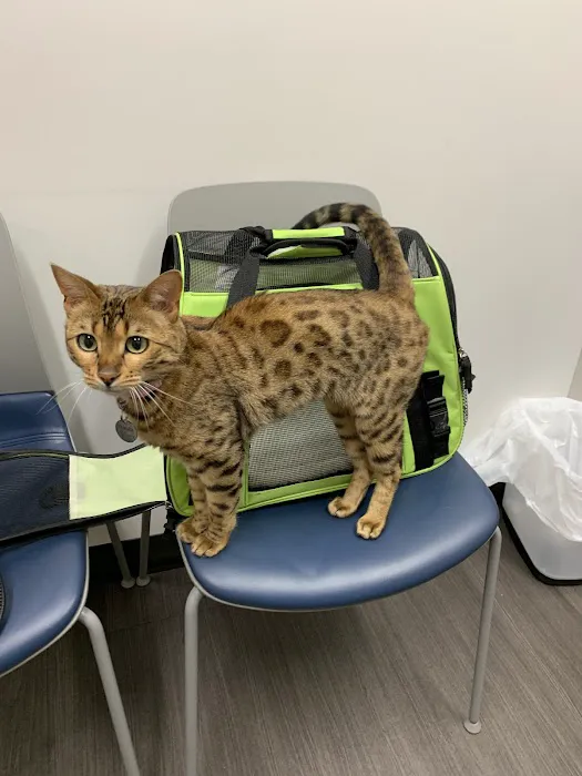 St. Francis Veterinary Clinic 10