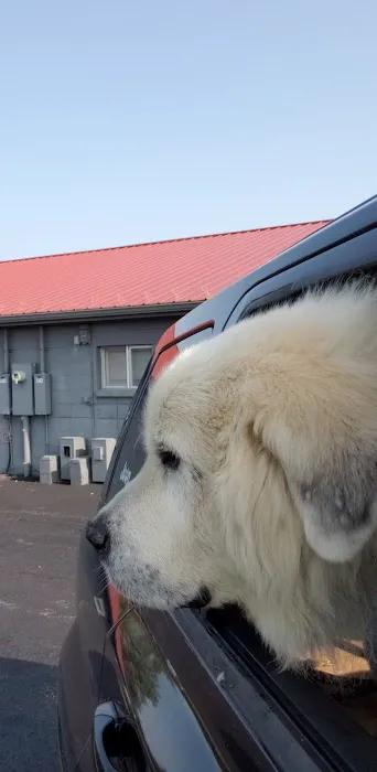 North Side Animal Clinic Inc 12
