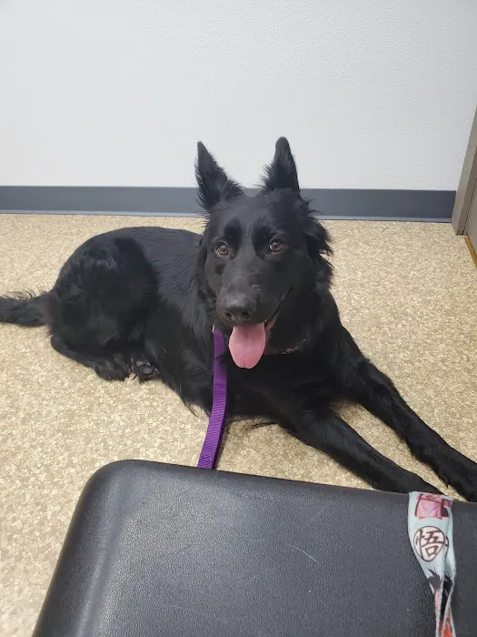 North Side Animal Clinic Inc 12