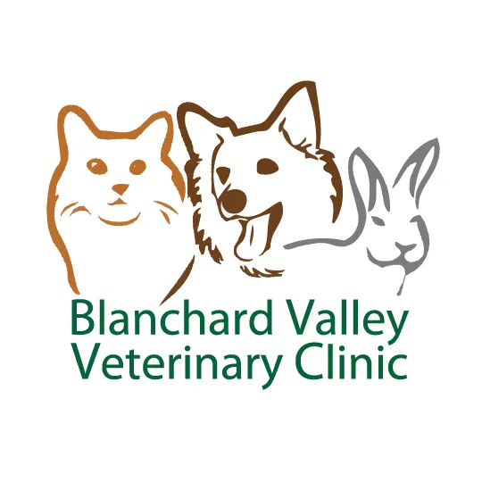 Blanchard Valley Veterinary: Anthony Fuller DVM 4