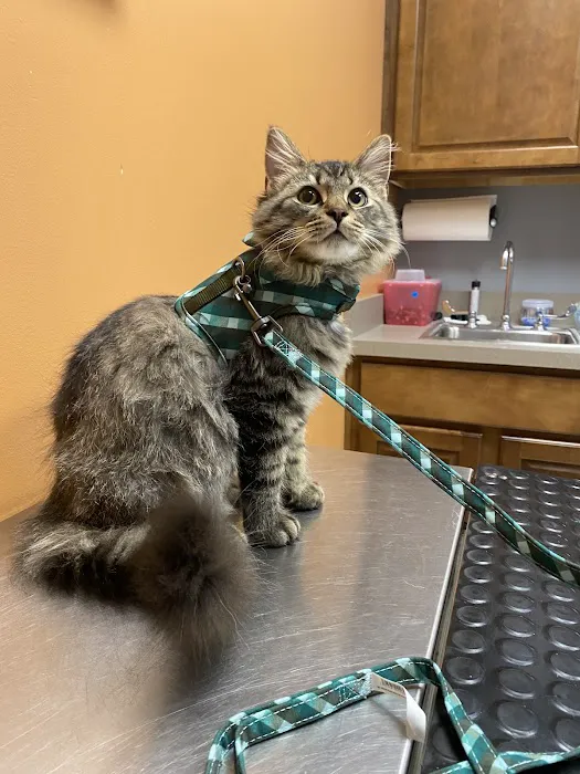 Blanchard Valley Veterinary Clinic 4