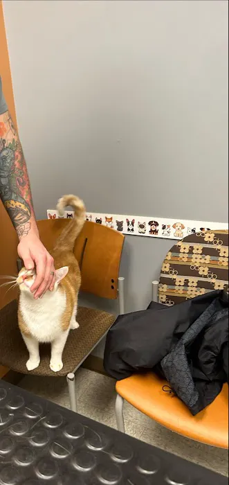Blanchard Valley Veterinary Clinic 1