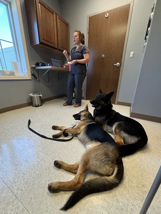 Blanchard Valley Veterinary Clinic 9