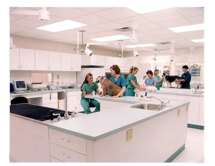 VCA Findlay Animal Hospital 10