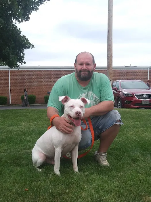 VCA Findlay Animal Hospital 5