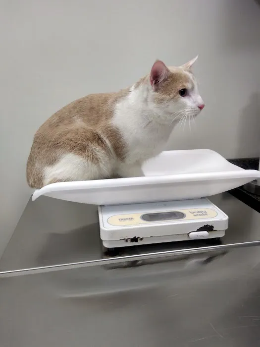 Tri County Veterinary Clinic 4