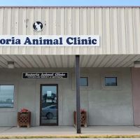 Fostoria Animal Clinic ico