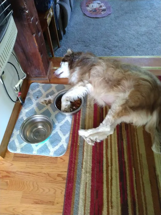 Fostoria Pet Hospital 12