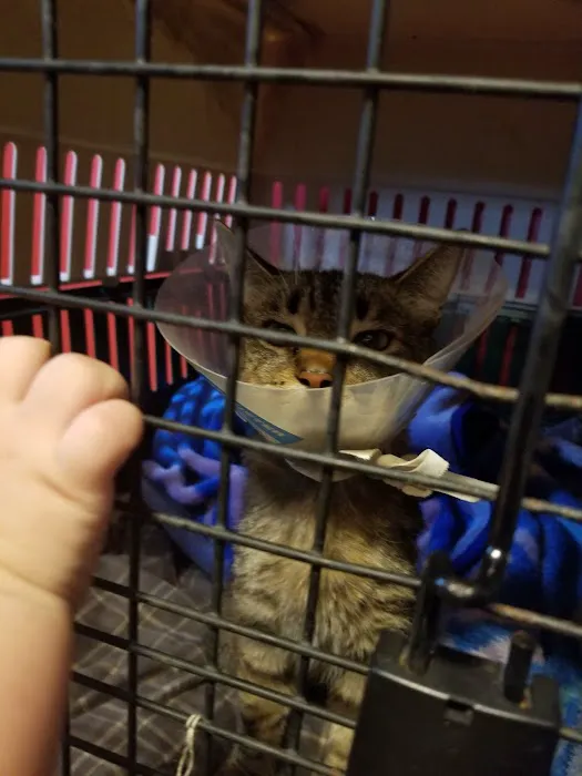 Fostoria Pet Hospital 12