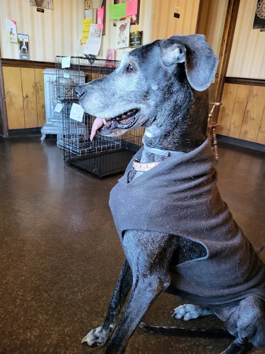 Fostoria Pet Hospital: Seidler Chris A DVM 2