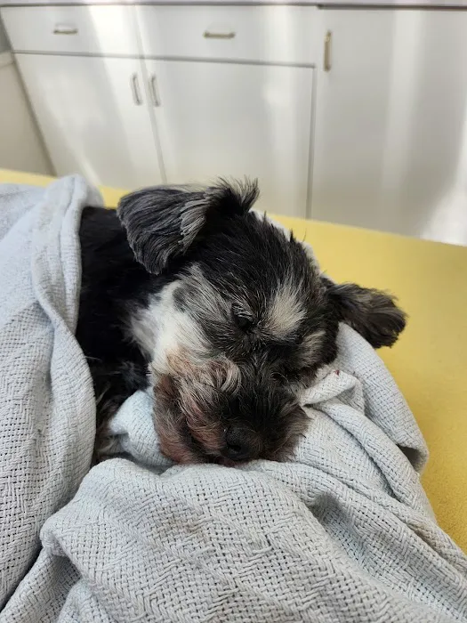 Fremont Animal Hospital 2