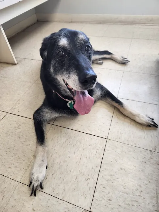 Fremont Animal Hospital 8