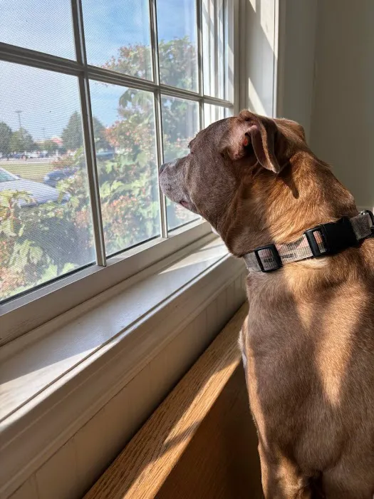 Fremont Animal Hospital 6