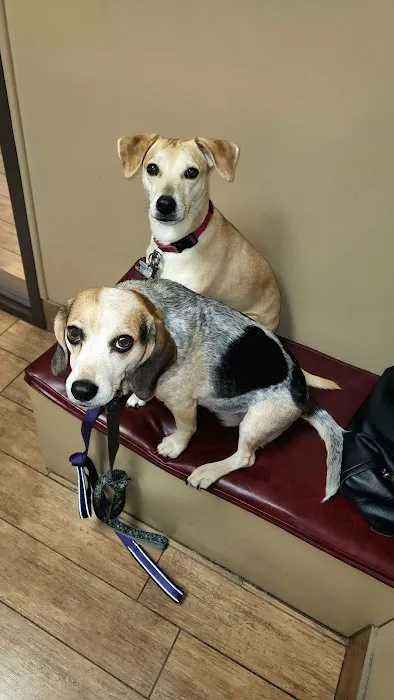 Westview Veterinary Hospital 7