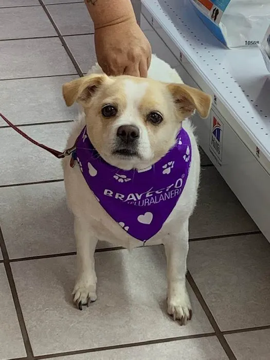 Harborview Animal Hospital 9
