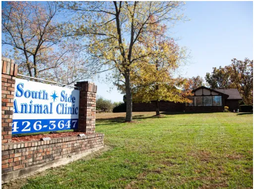 Carol House Quick Fix Pet Clinic 3