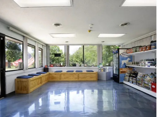 Carol House Quick Fix Pet Clinic 2