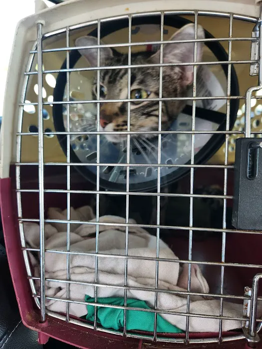 Carol House Quick Fix Pet Clinic 13