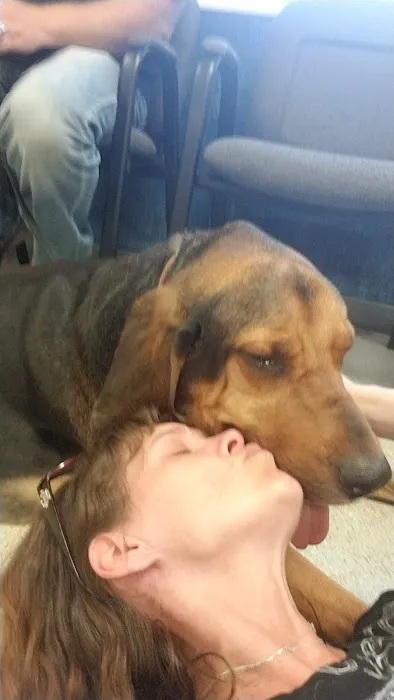 Creekwood Animal Hospital 3