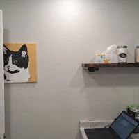 Creekwood Animal Hospital ico