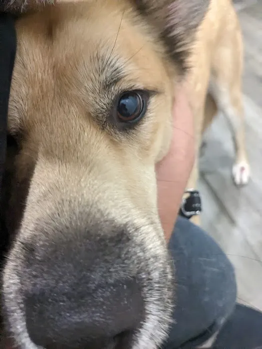 Creekwood Animal Hospital 2