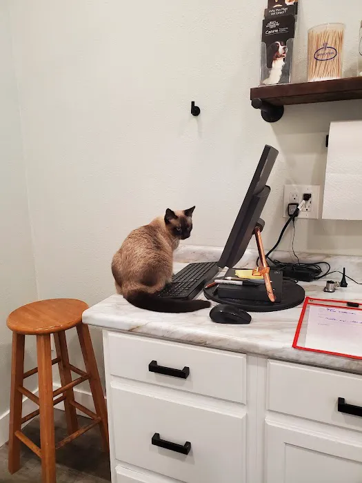 Creekwood Animal Hospital 6