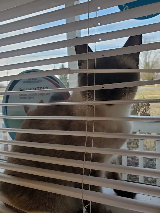 Creekwood Animal Hospital 4