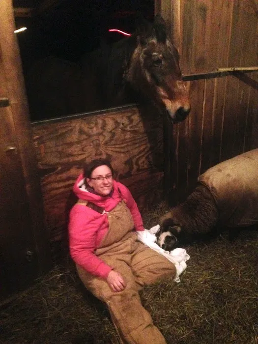 Juniata Veterinary Clinic 2