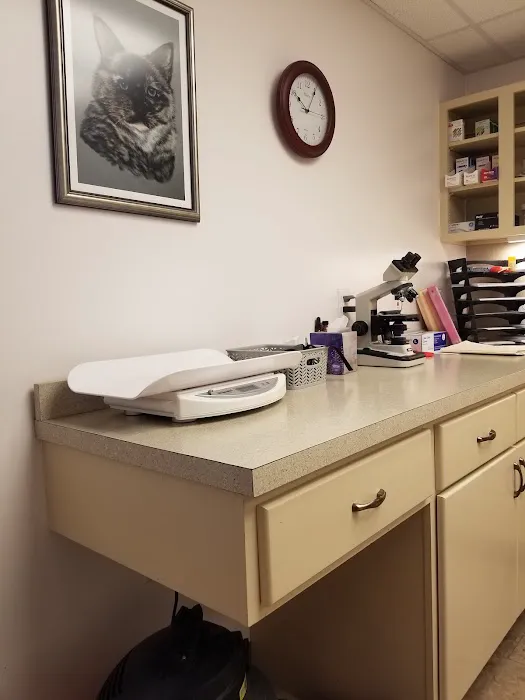 Tri-County Veterinary Services 5
