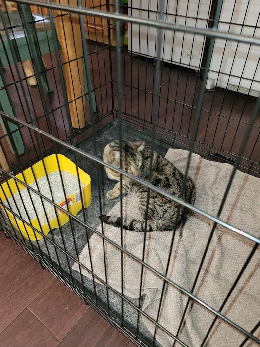 Eastern PA Animal Alliance -Wilkes Barre Location 6