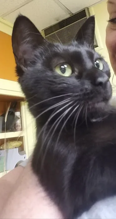Eastern PA Animal Alliance -Wilkes Barre Location 8