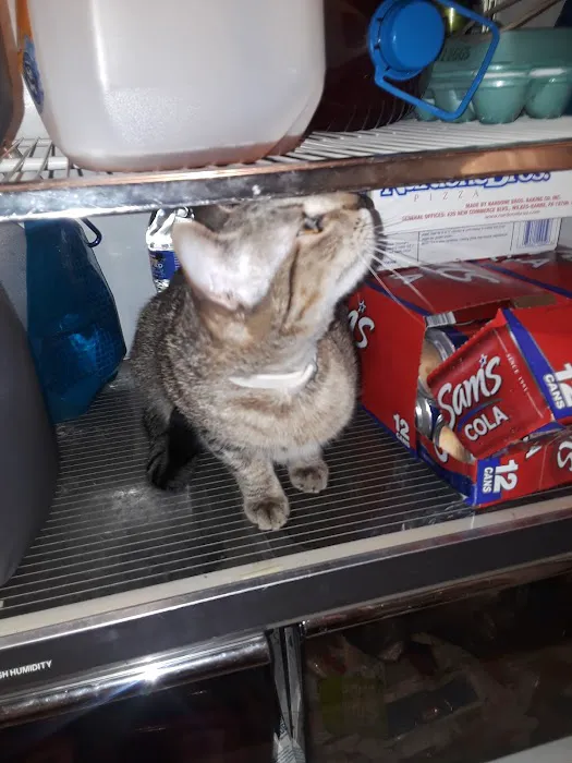 Eastern PA Animal Alliance -Wilkes Barre Location 7