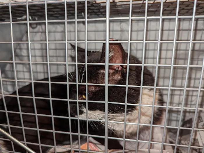Eastern PA Animal Alliance -Wilkes Barre Location 3