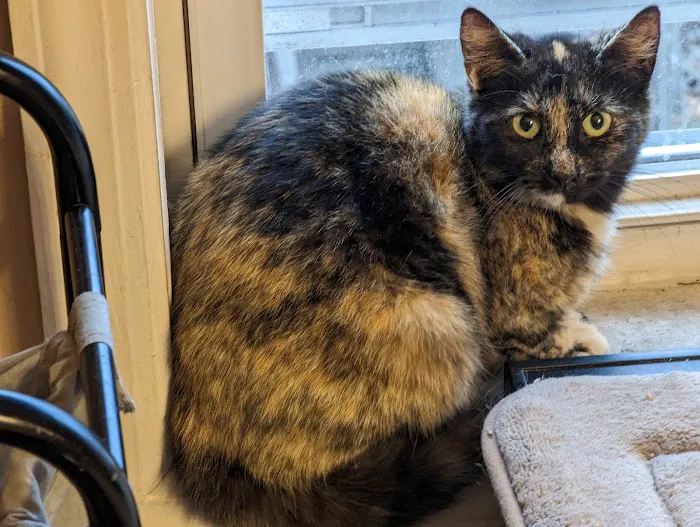 Eastern PA Animal Alliance -Wilkes Barre Location 1
