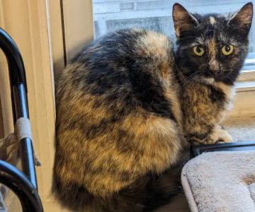 Eastern PA Animal Alliance -Wilkes Barre Location