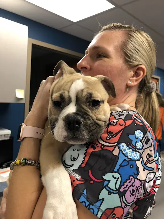 Wyoming Valley Veterinary Hospital 9