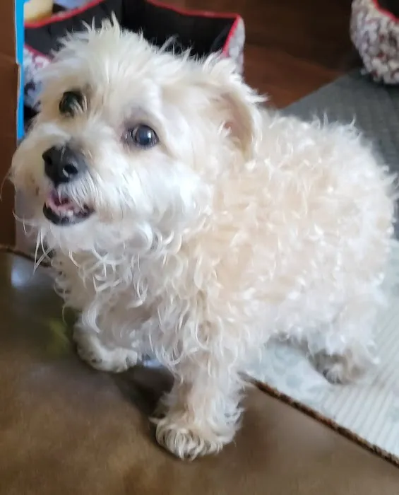 Wyoming Valley Veterinary Hospital 7