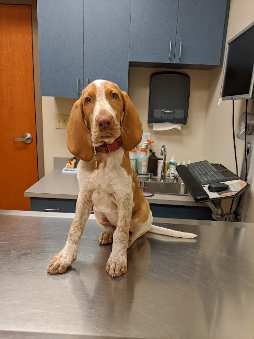 Wyoming Valley Veterinary Hospital 4