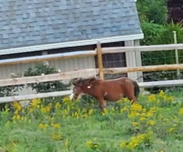 Valley View Veterinary Clinic