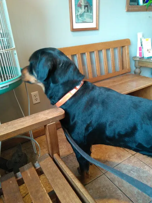 Valley View Veterinary Clinic 12