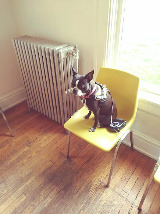 Kingston Veterinary Clinic 12