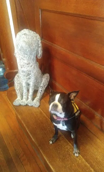 Kingston Veterinary Clinic 12