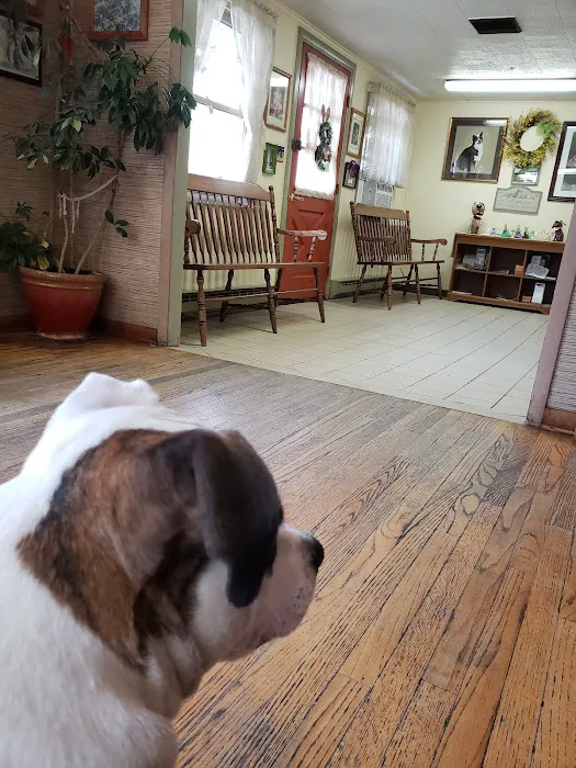 Trucksville Dog & Cat Hospital 7