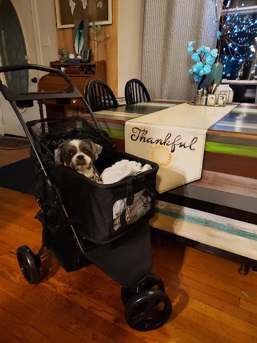 Trucksville Dog & Cat Hospital 4