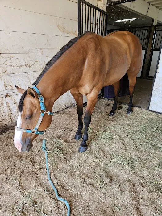 Pegasus Clinic, Inc 2