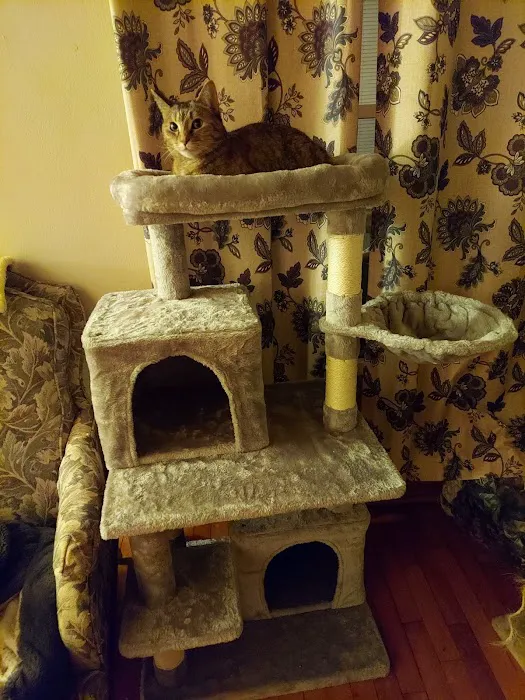 Animal Hospital of Oshkosh 9